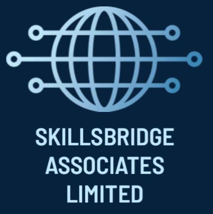 skillsbridgeanalytics.co.uk